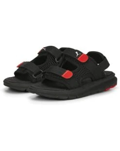 Kiddie Shoe 36 PUMA Kids Evolve Sandal (Little Kid) | Sandals